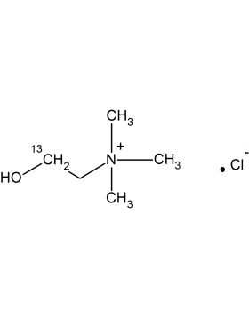 CC535P01