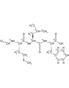 CCN10073P50