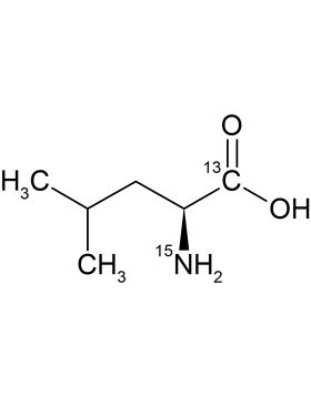 CCN1602P