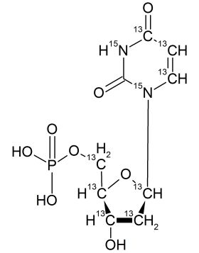 CCN6255P0025