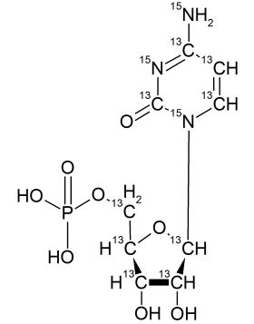 CCN6265P01