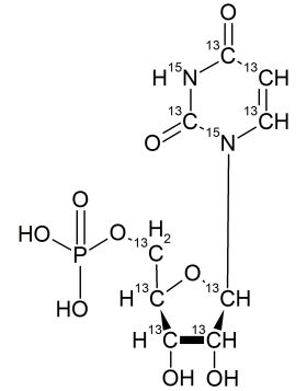 CCN6275P01