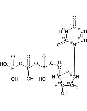 CCN6295P0025