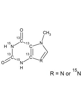 CCN6351P