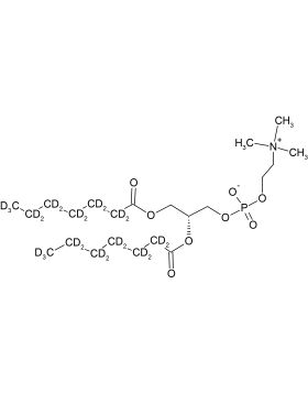 CD5011P025