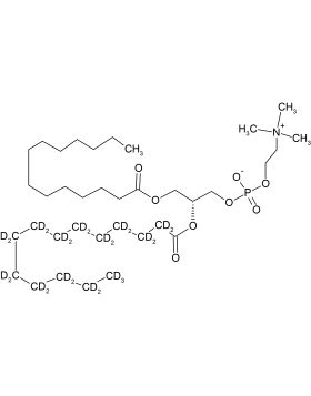 CD5014P