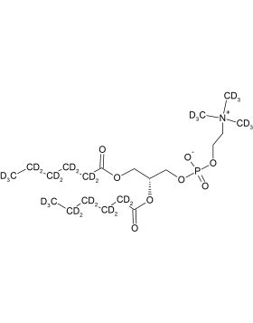 CD5017P025