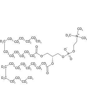 CD5019P025