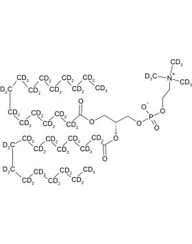 CD5024P025