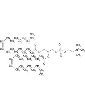 CD5074P025