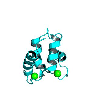 CCN100113P