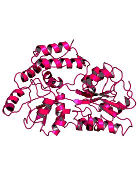 CCND10044P5