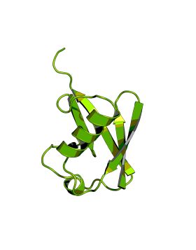 CCN10064P10