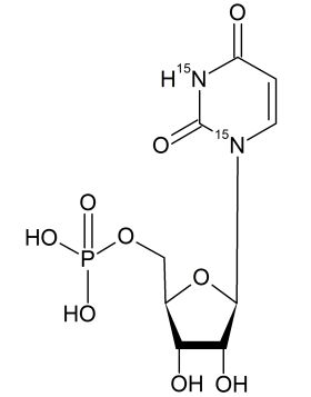 CN6275P01