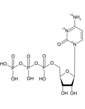 CN6305P0025