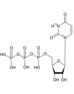 CN6315P0025