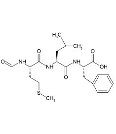 C10073P100