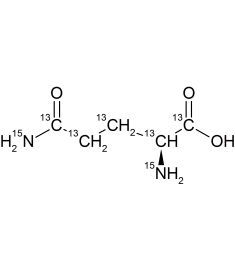 CCN1000P01