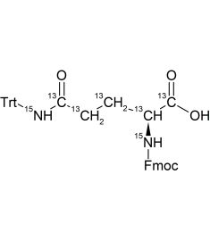 CCN1001P01