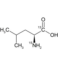 CCN1602P