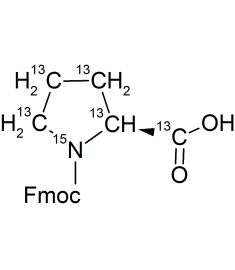 CCN2501P01