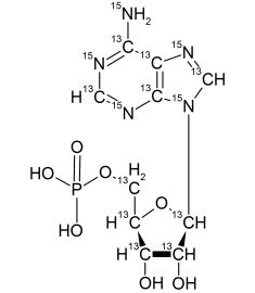 CCN6260P01