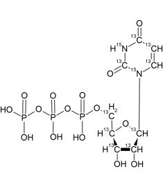 CCN6315P001