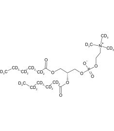 CD5017P025