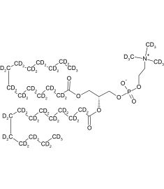 CD5019P025
