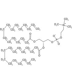 CD5024P025