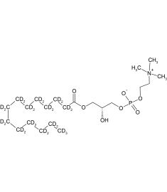 CD5036P025