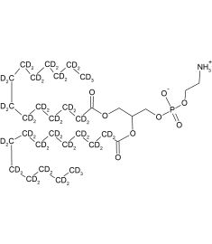 CD5063P025
