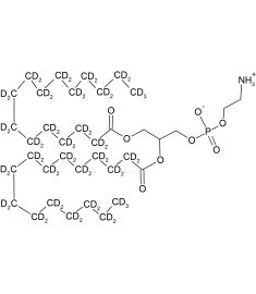 CD5064P025