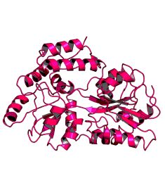 CCN100413P