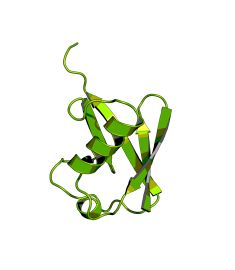 CCN10064P20