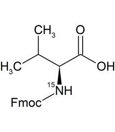 CN5001P1
