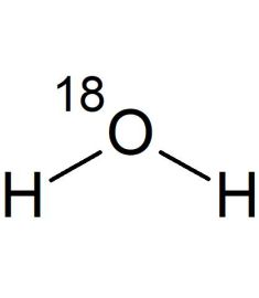 CO5261P1