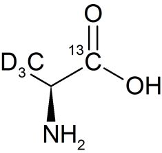 CCD25P