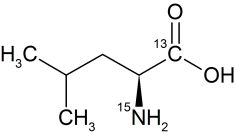 CCN1602P