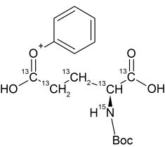 CCN902P