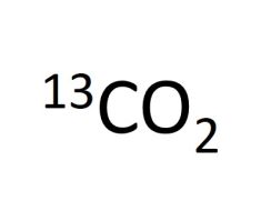 G-13CO2-99-5