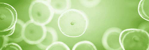 Cell Free Kits