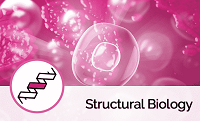 Structural Biology