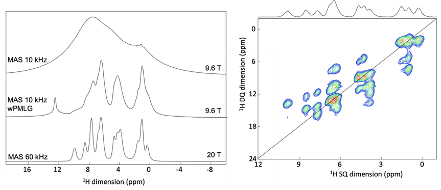 ssNMR for pharmaceuticals