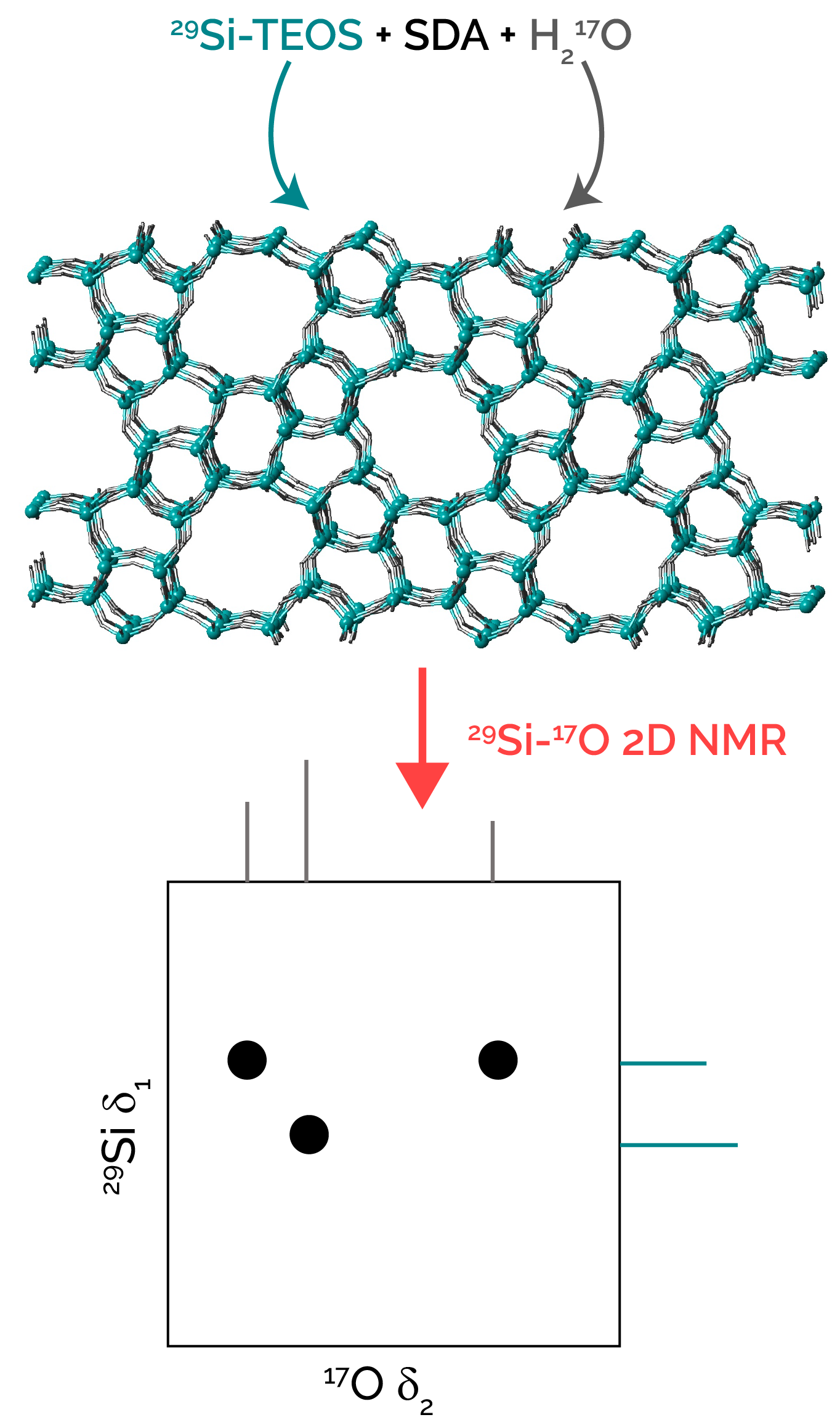ssNMR for porous solids